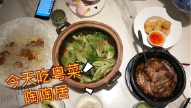 直播各地方美食视频素材,各地美食探店小吃介绍