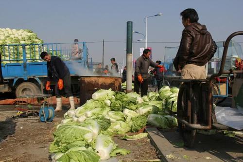 各地美食自己做怎么做,外国各地特色美食介绍